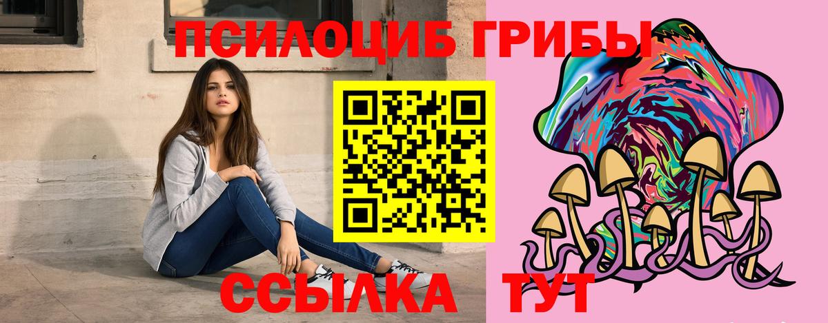 Псилоцибиновые грибы Psilocybe Чернушка