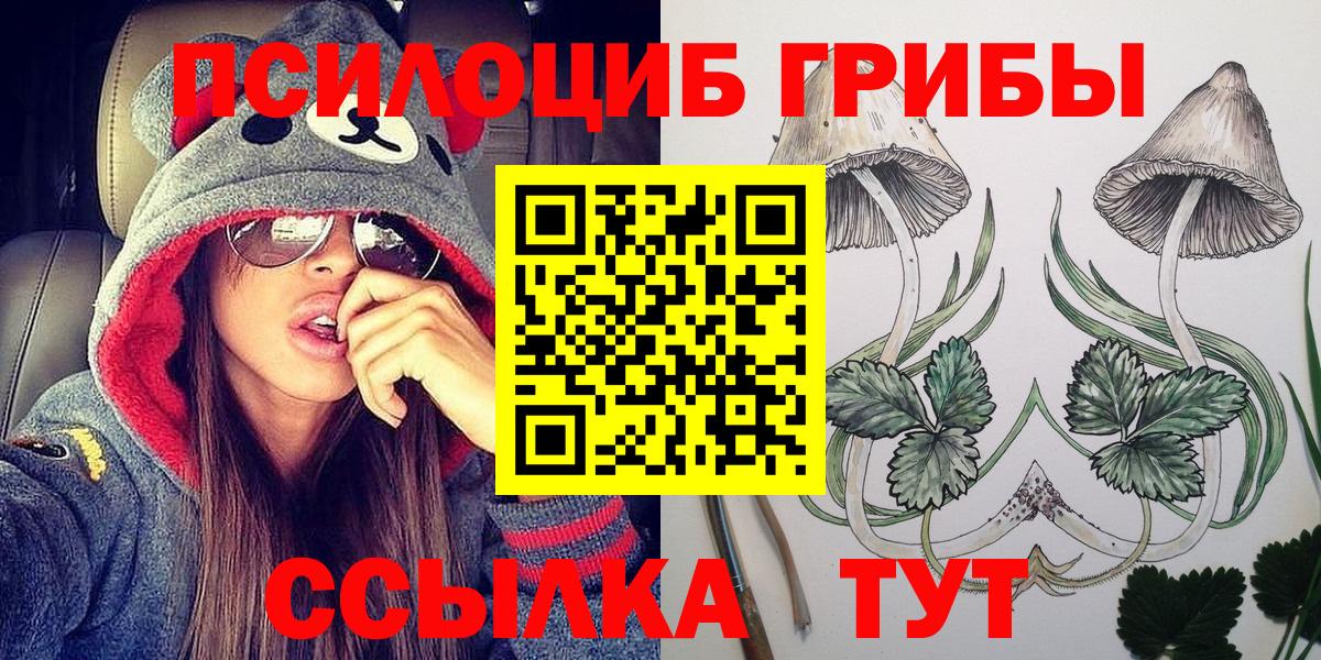 Чернушка  Псилоцибиновые грибы Psilocybe  Вход с VPN 